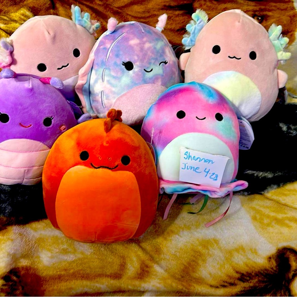 Brand new lot never open squishmallows